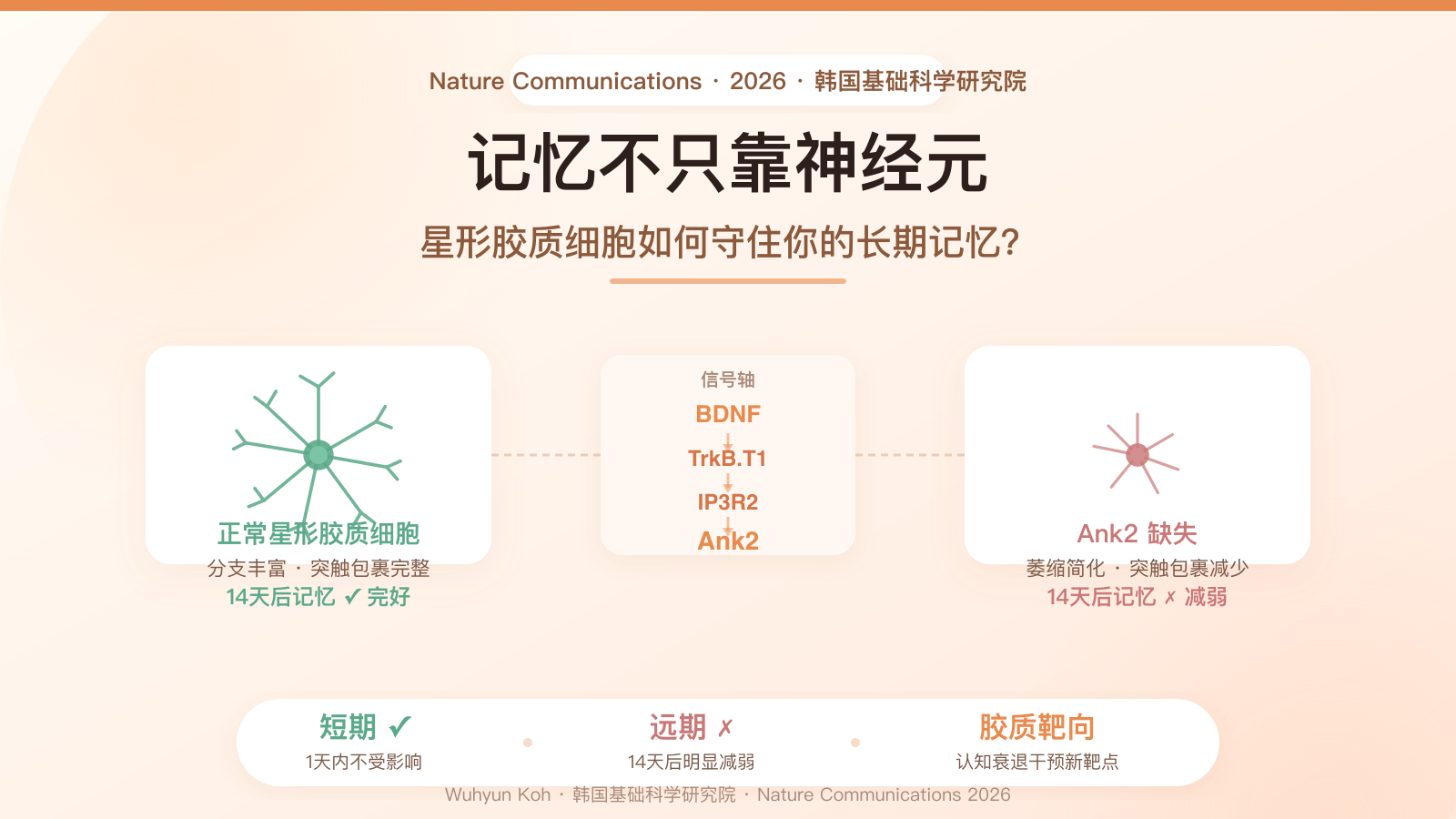 https://img.zhaojq.top/20260802131604470.png