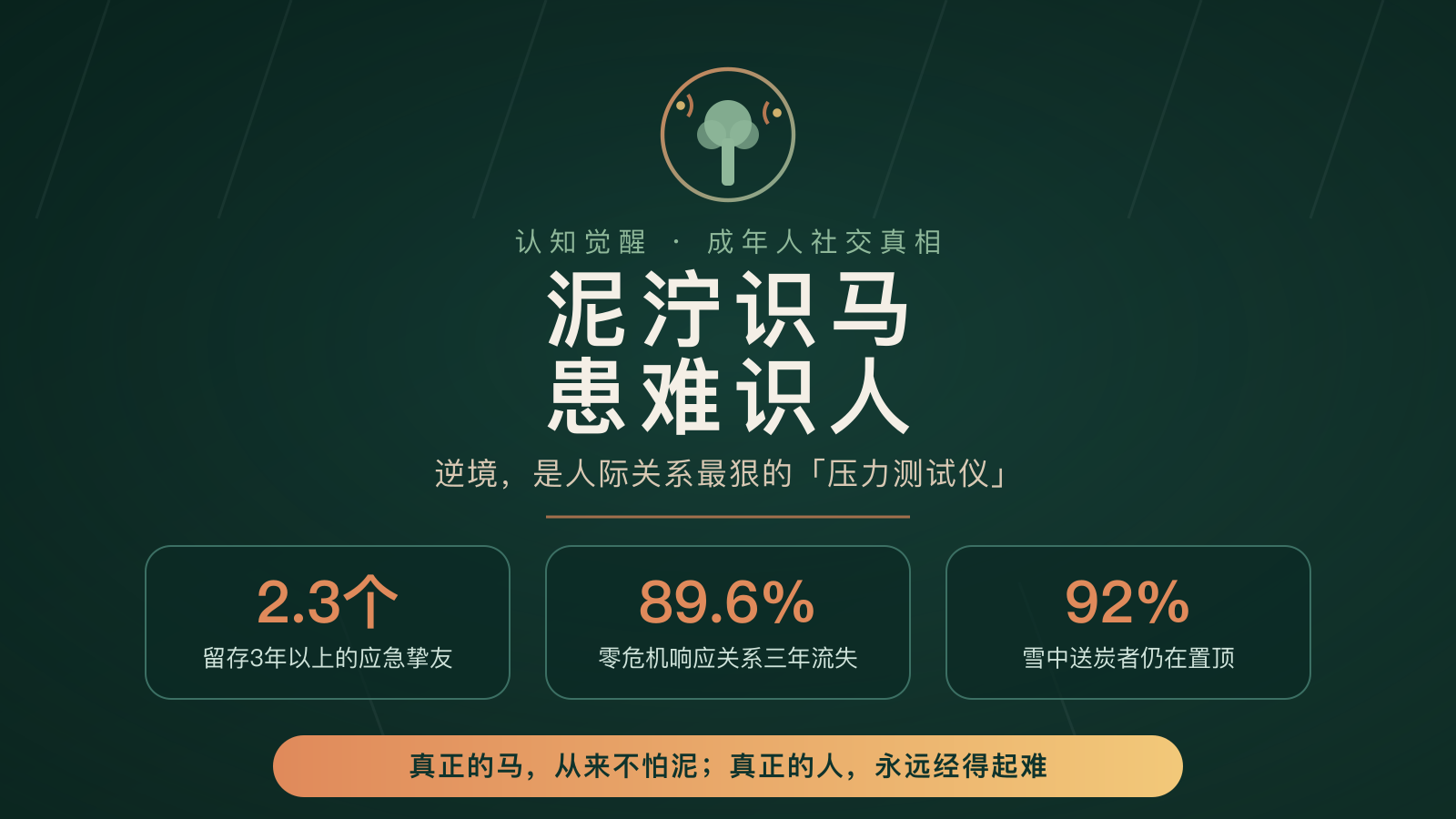 https://img.zhaojq.top/20260901060244496.png